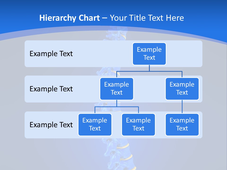 Rheumatism Slipped Disc PowerPoint Template