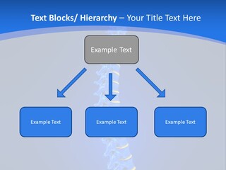 Rheumatism Slipped Disc PowerPoint Template