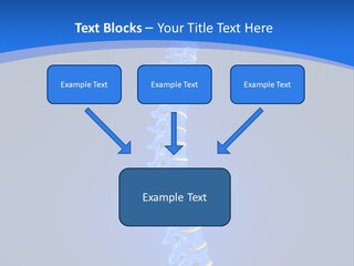 Rheumatism Slipped Disc PowerPoint Template