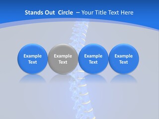 Rheumatism Slipped Disc PowerPoint Template