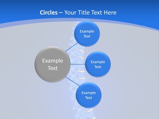 Rheumatism Slipped Disc PowerPoint Template