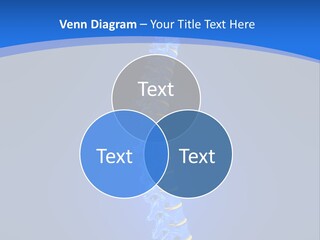 Rheumatism Slipped Disc PowerPoint Template