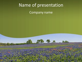A Field Full Of Blue Flowers With Trees In The Background PowerPoint Template
