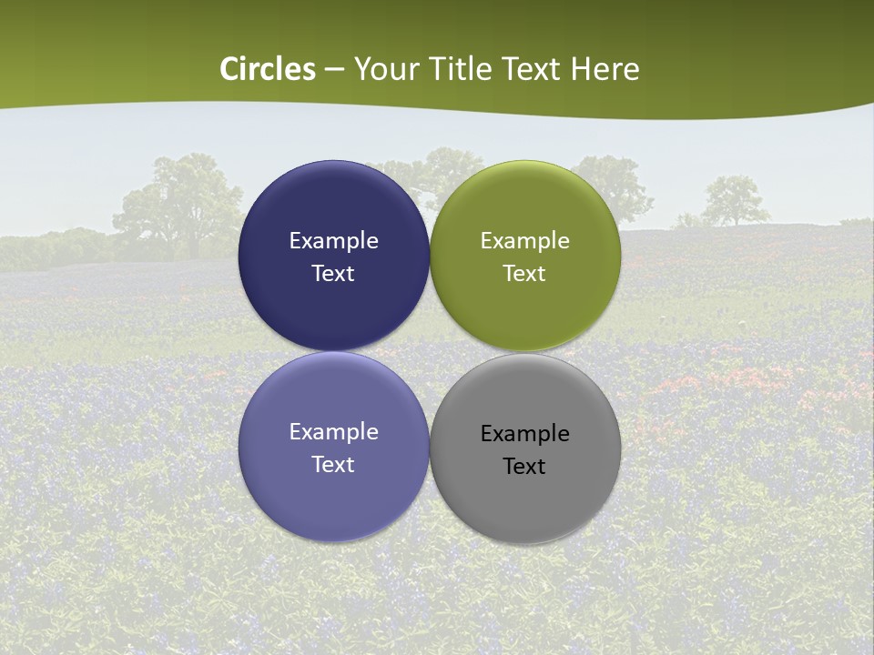 A Field Full Of Blue Flowers With Trees In The Background PowerPoint Template