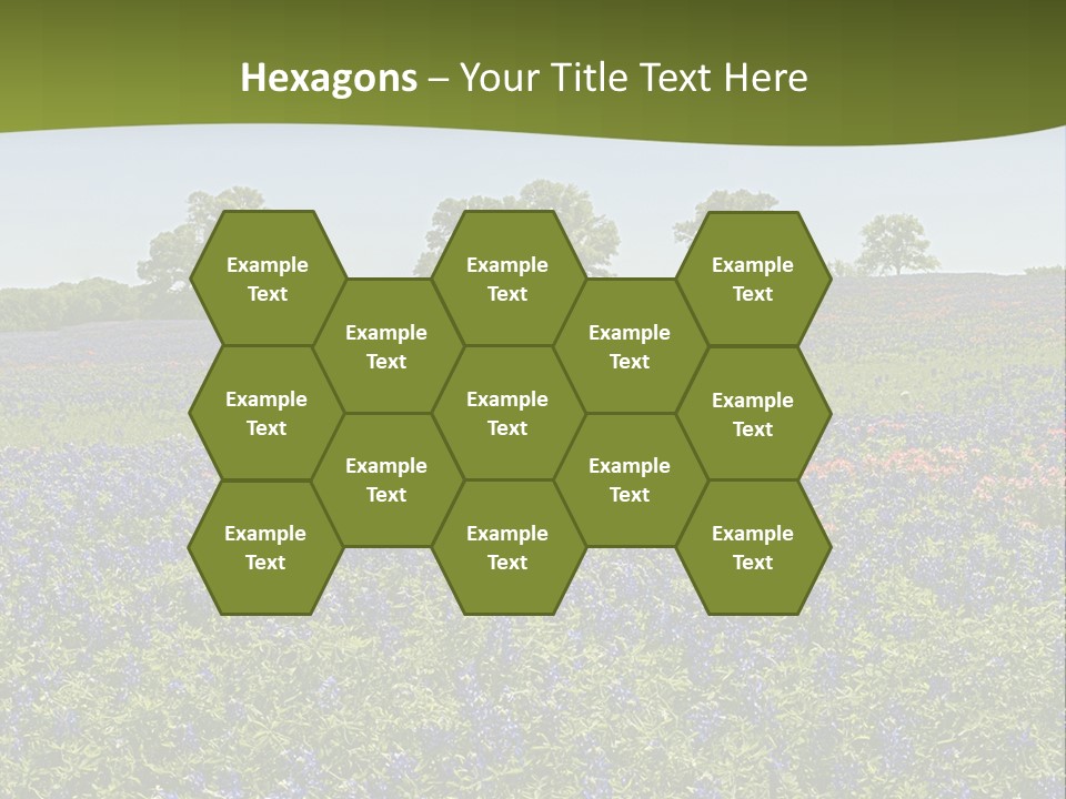 A Field Full Of Blue Flowers With Trees In The Background PowerPoint Template