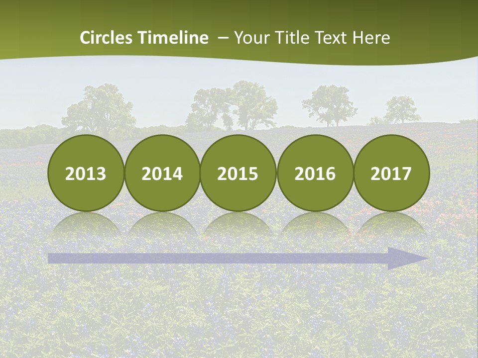 A Field Full Of Blue Flowers With Trees In The Background PowerPoint Template