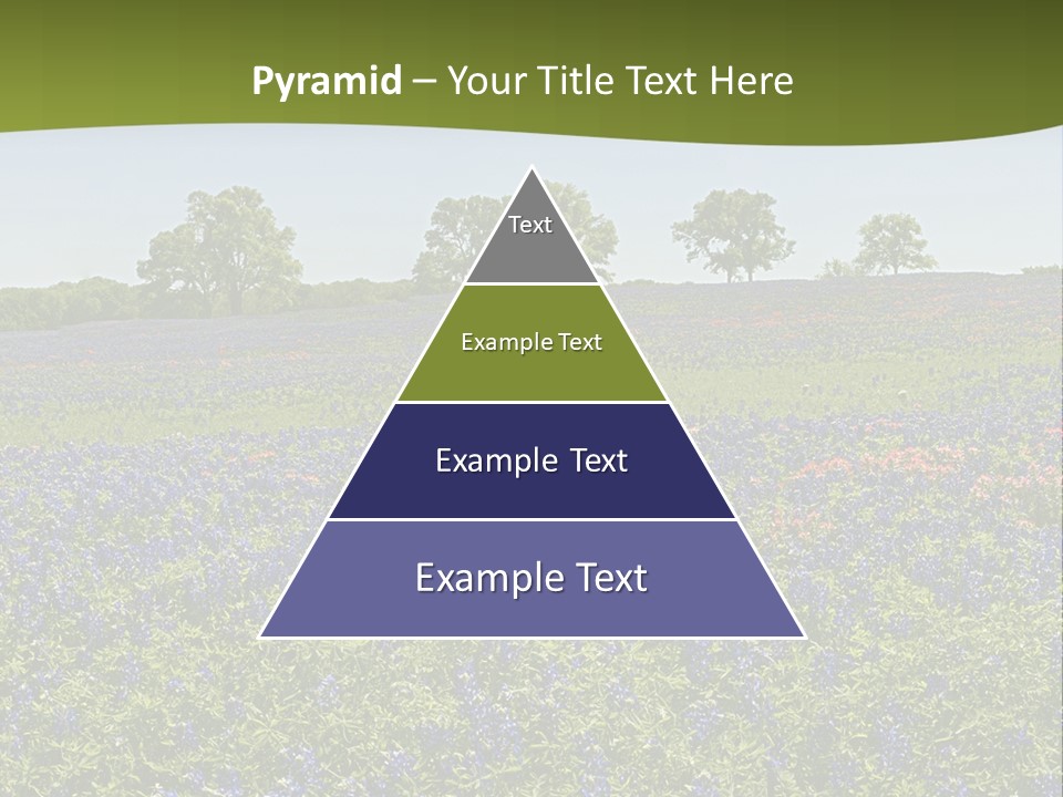 A Field Full Of Blue Flowers With Trees In The Background PowerPoint Template