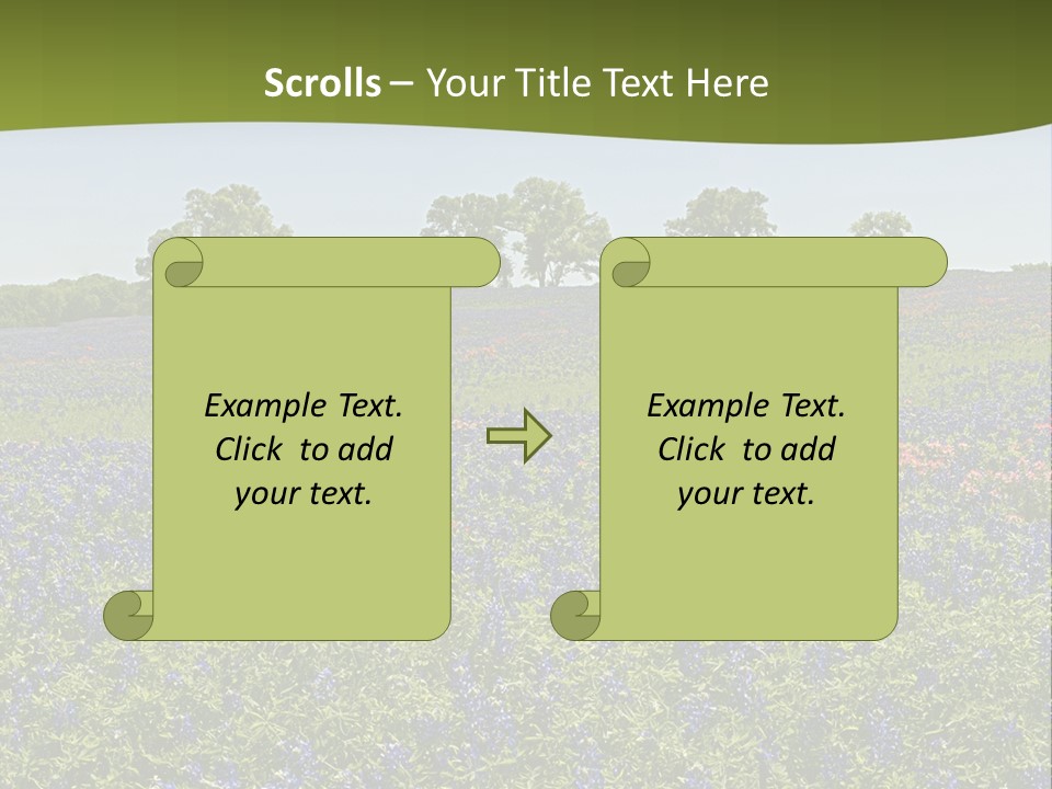 A Field Full Of Blue Flowers With Trees In The Background PowerPoint Template