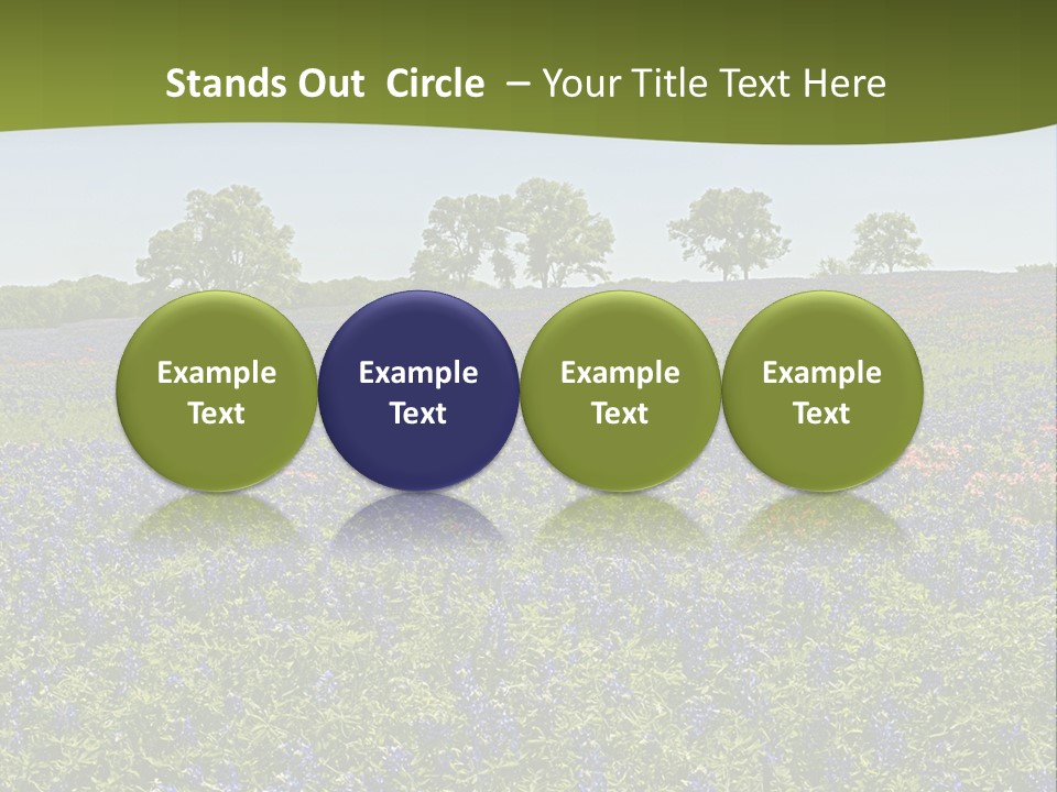 A Field Full Of Blue Flowers With Trees In The Background PowerPoint Template