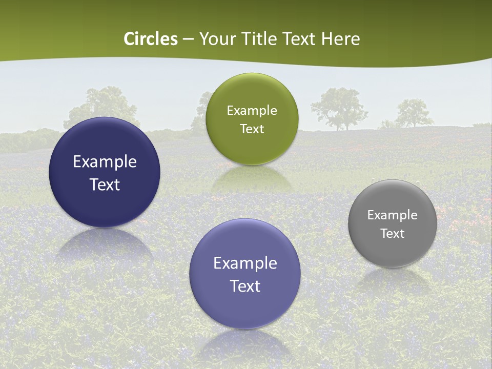 A Field Full Of Blue Flowers With Trees In The Background PowerPoint Template