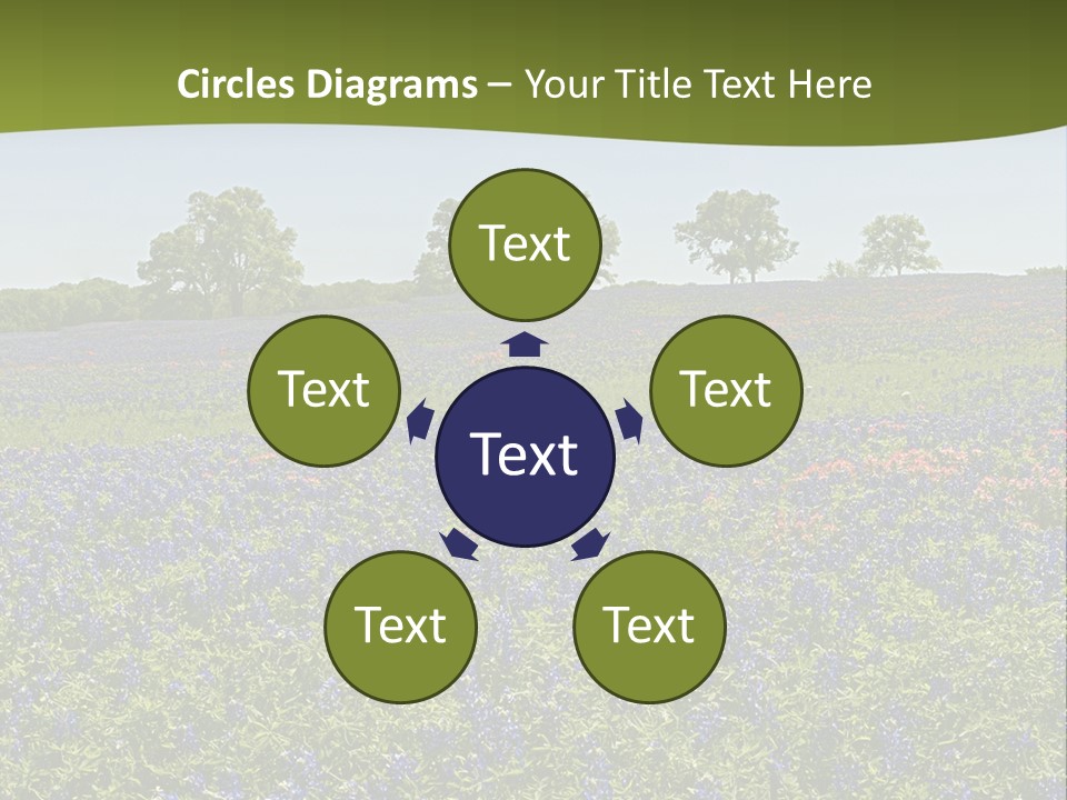 A Field Full Of Blue Flowers With Trees In The Background PowerPoint Template