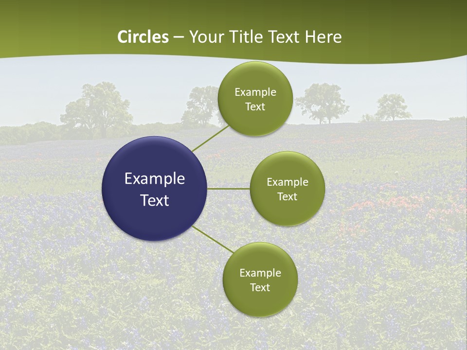 A Field Full Of Blue Flowers With Trees In The Background PowerPoint Template