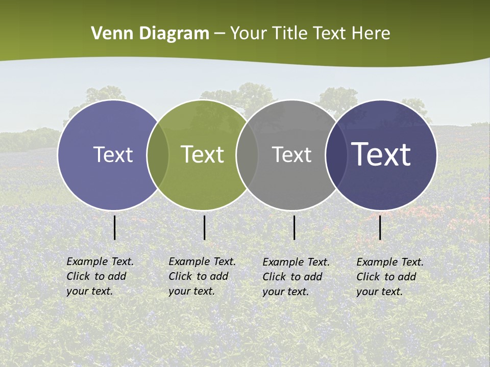 A Field Full Of Blue Flowers With Trees In The Background PowerPoint Template
