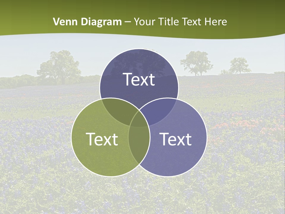 A Field Full Of Blue Flowers With Trees In The Background PowerPoint Template