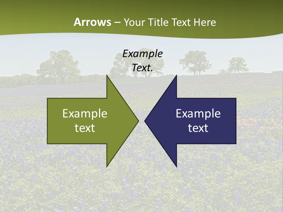 A Field Full Of Blue Flowers With Trees In The Background PowerPoint Template