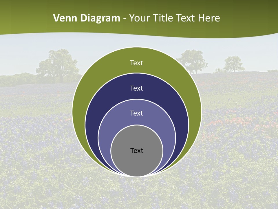 A Field Full Of Blue Flowers With Trees In The Background PowerPoint Template