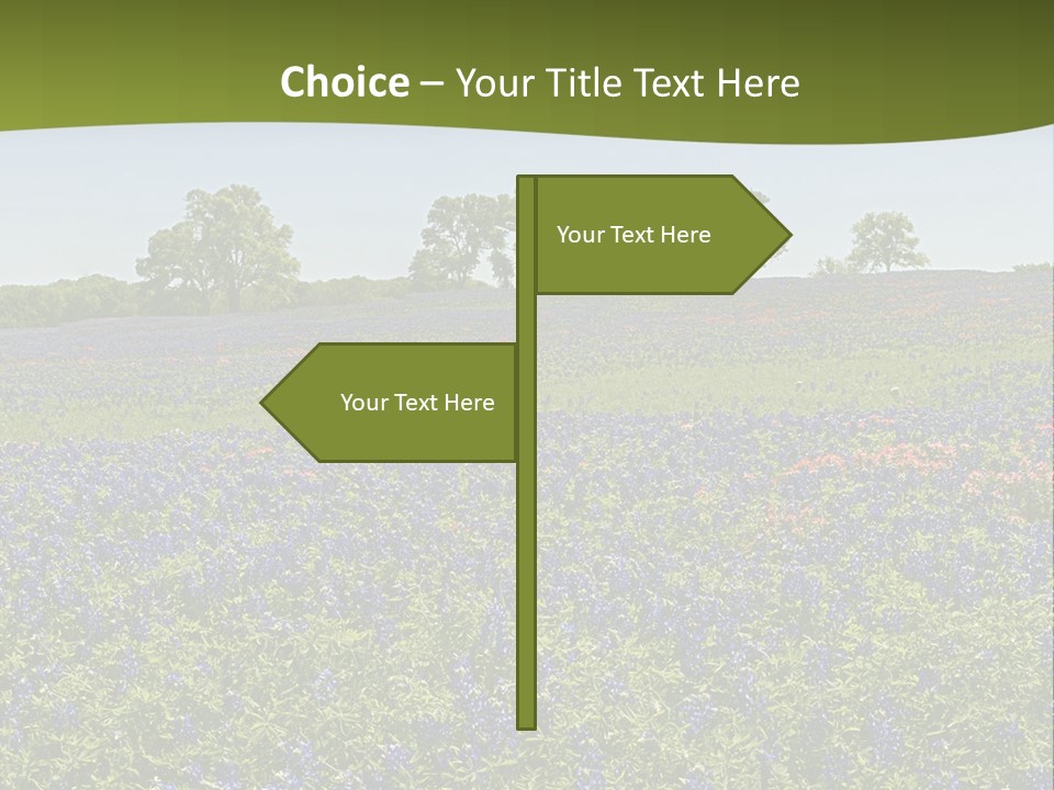 A Field Full Of Blue Flowers With Trees In The Background PowerPoint Template