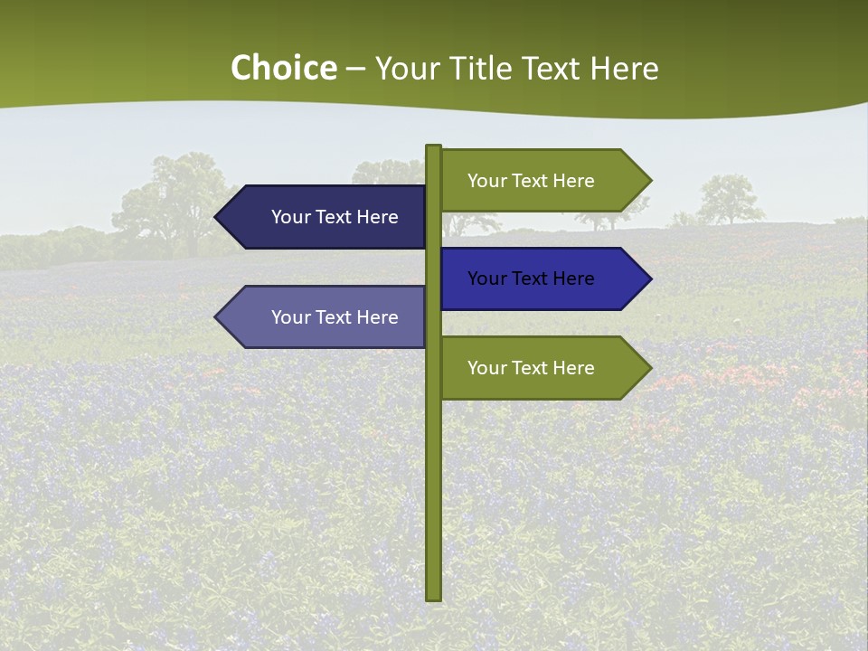 A Field Full Of Blue Flowers With Trees In The Background PowerPoint Template