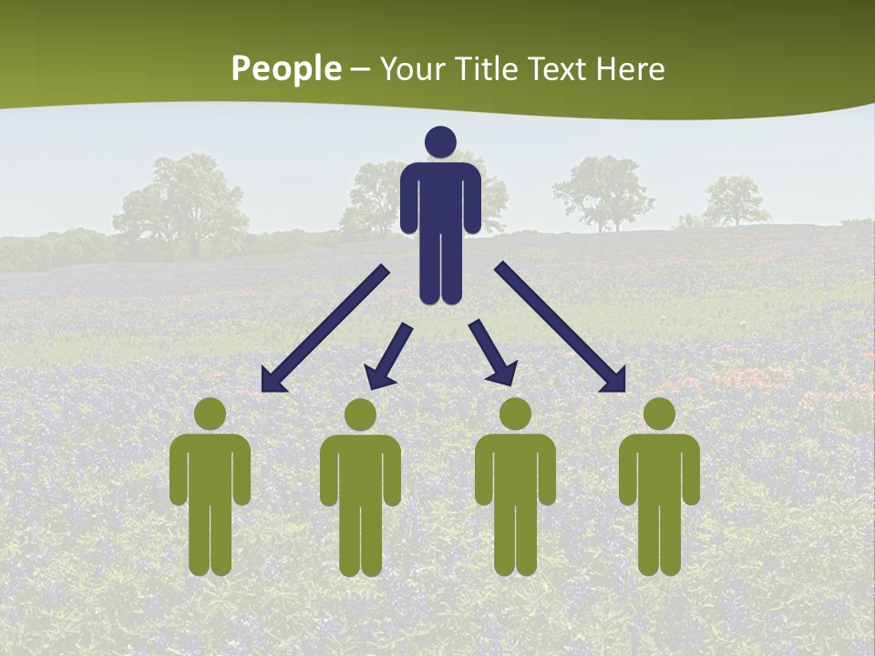 A Field Full Of Blue Flowers With Trees In The Background PowerPoint Template