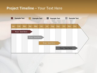 Park Sevilla Architecture PowerPoint Template