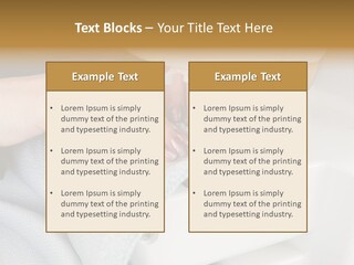 Park Sevilla Architecture PowerPoint Template