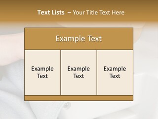 Park Sevilla Architecture PowerPoint Template