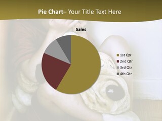 Punishment Divorce Violence PowerPoint Template