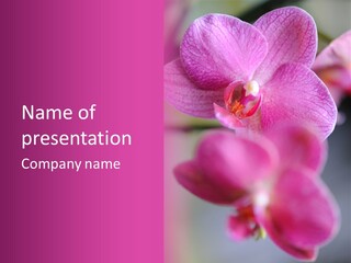 Inflorescence Fragility Ornate PowerPoint Template