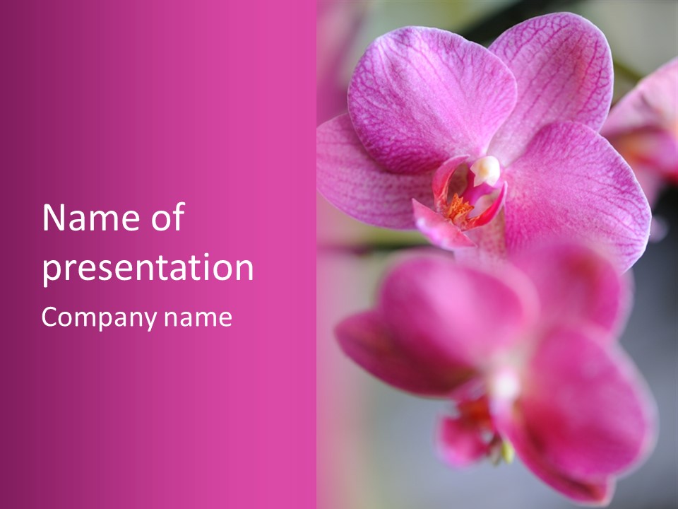 Inflorescence Fragility Ornate PowerPoint Template