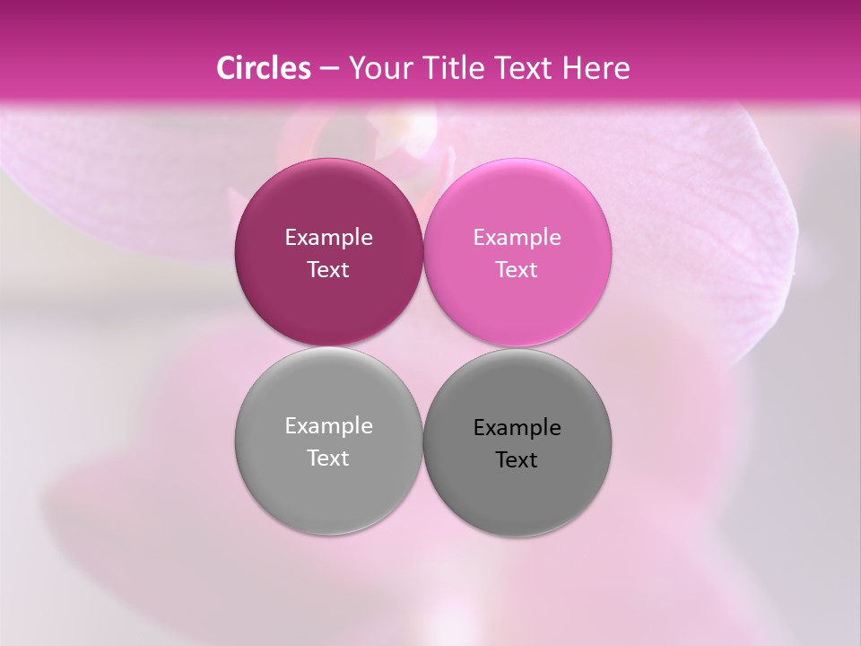 Inflorescence Fragility Ornate PowerPoint Template