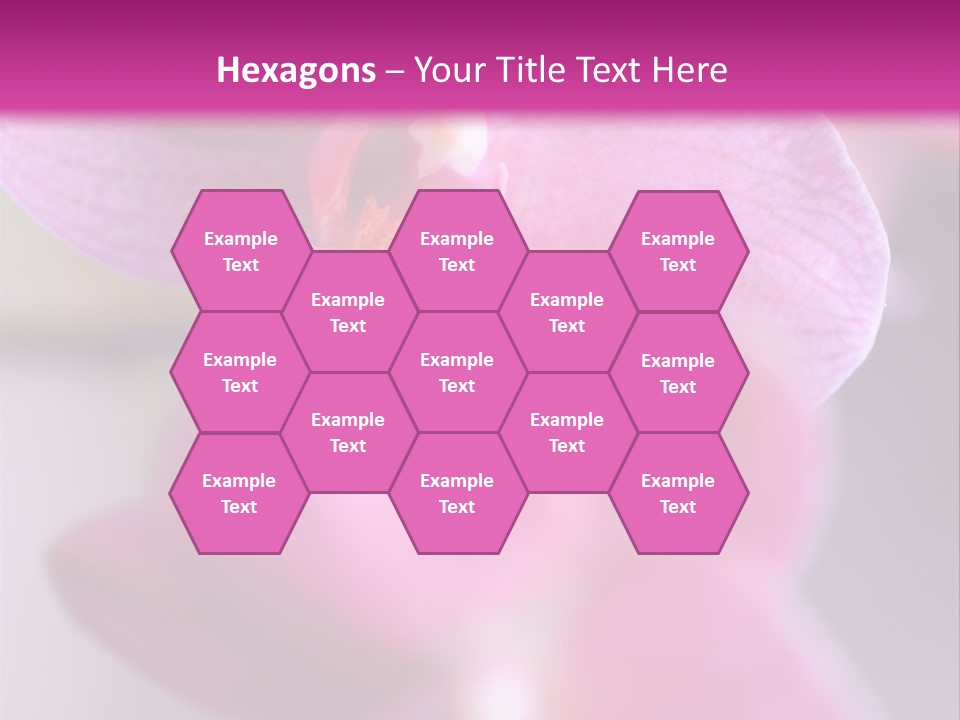 Inflorescence Fragility Ornate PowerPoint Template