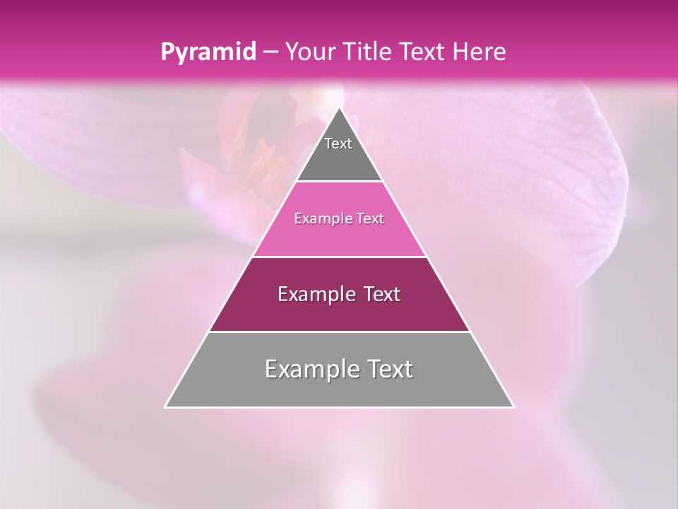Inflorescence Fragility Ornate PowerPoint Template