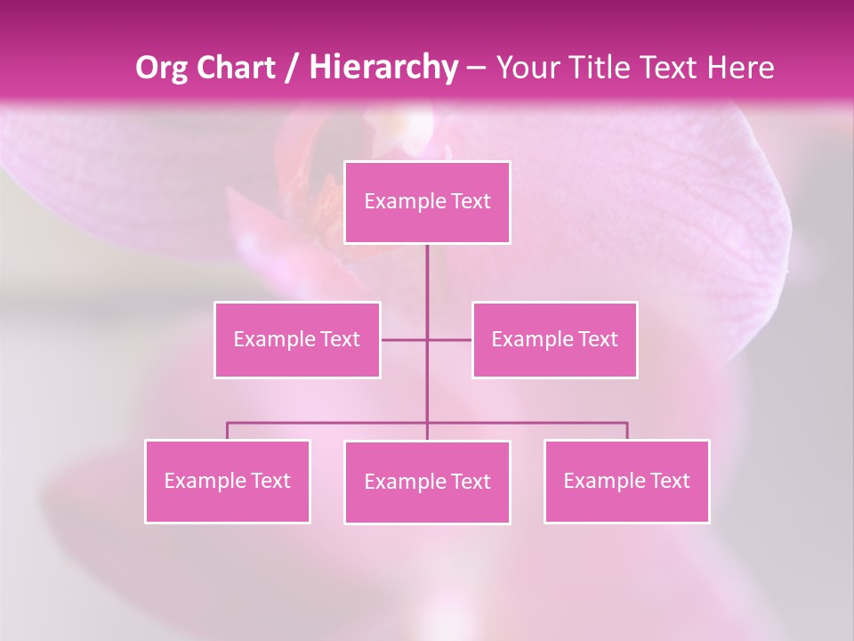 Inflorescence Fragility Ornate PowerPoint Template