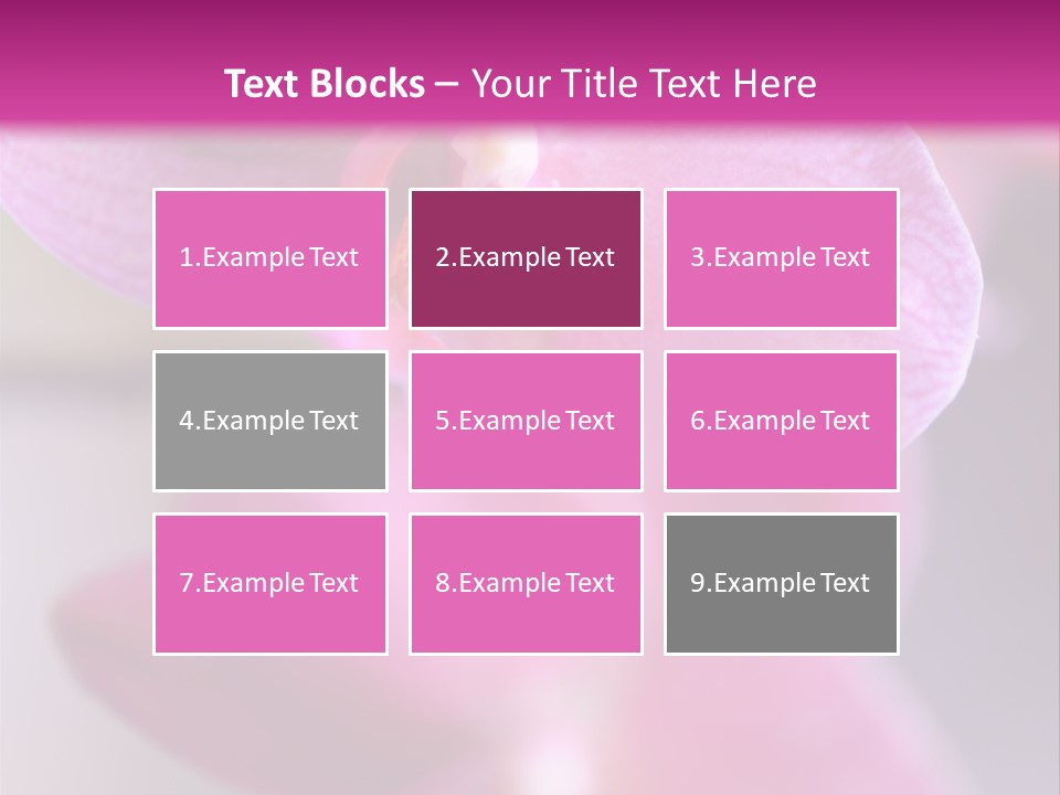 Inflorescence Fragility Ornate PowerPoint Template