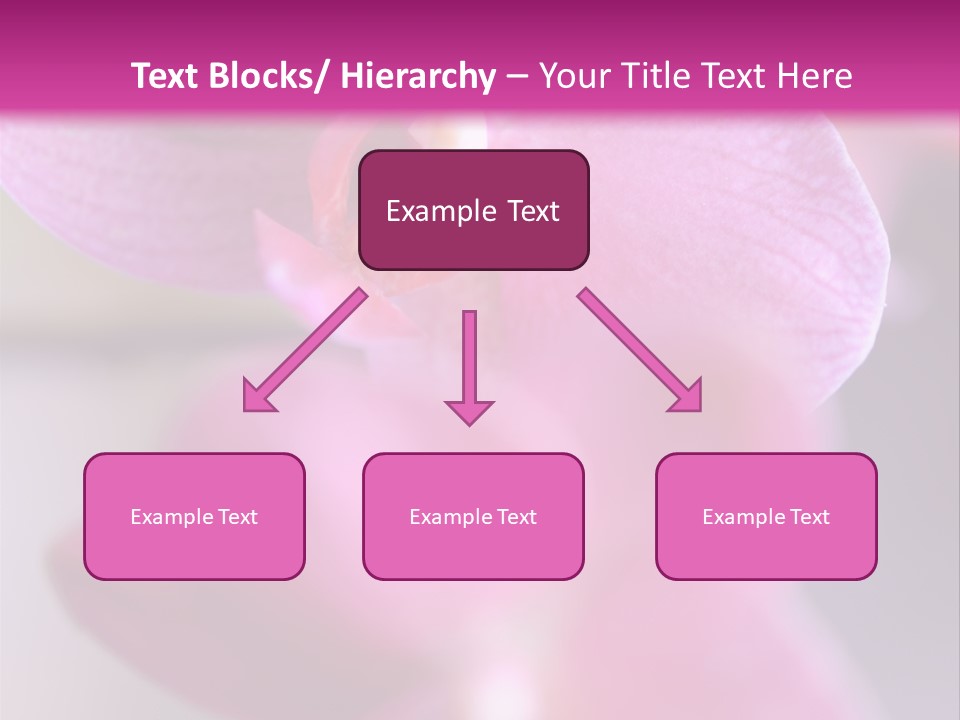 Inflorescence Fragility Ornate PowerPoint Template