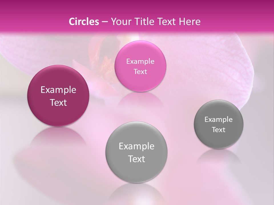 Inflorescence Fragility Ornate PowerPoint Template