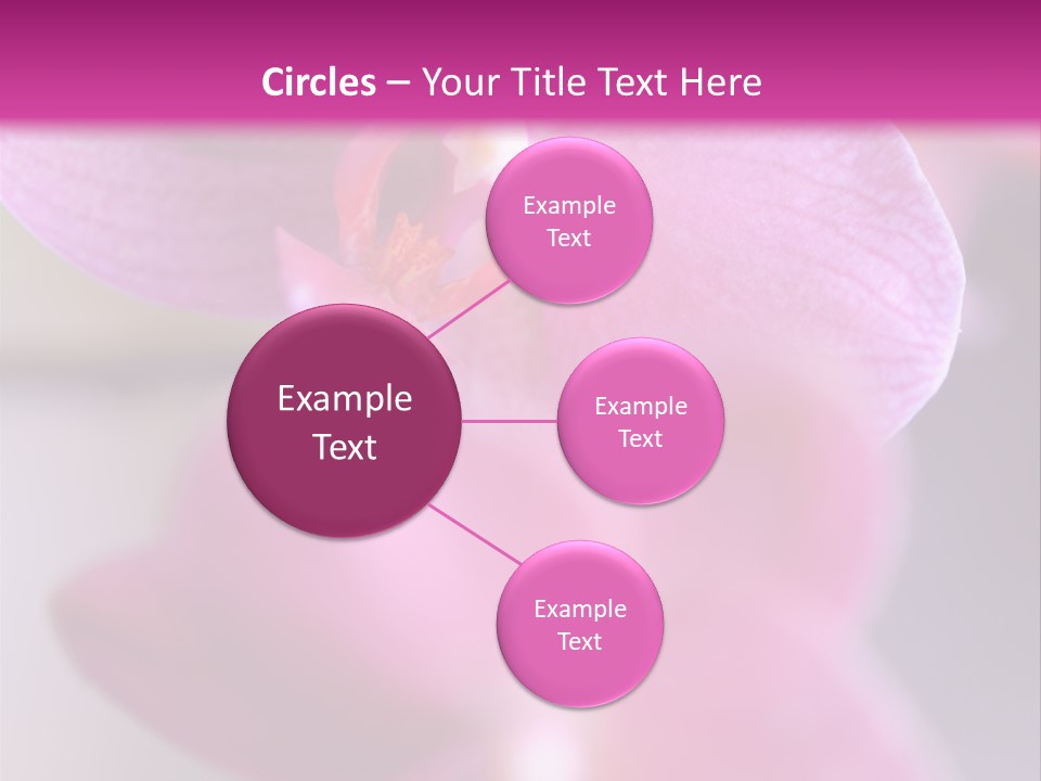 Inflorescence Fragility Ornate PowerPoint Template