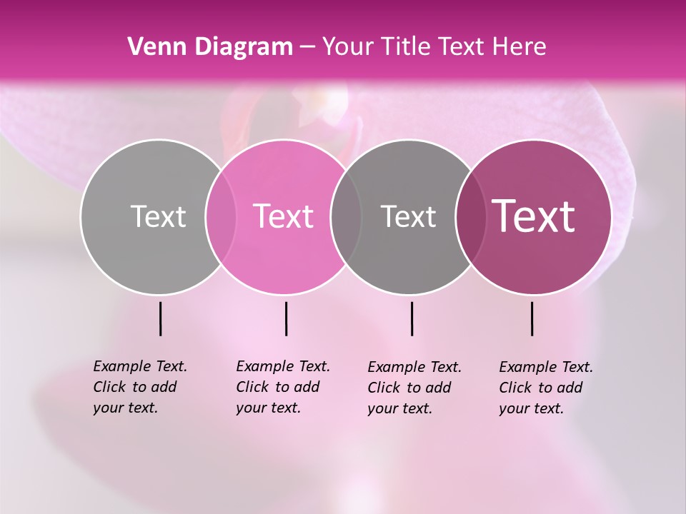 Inflorescence Fragility Ornate PowerPoint Template