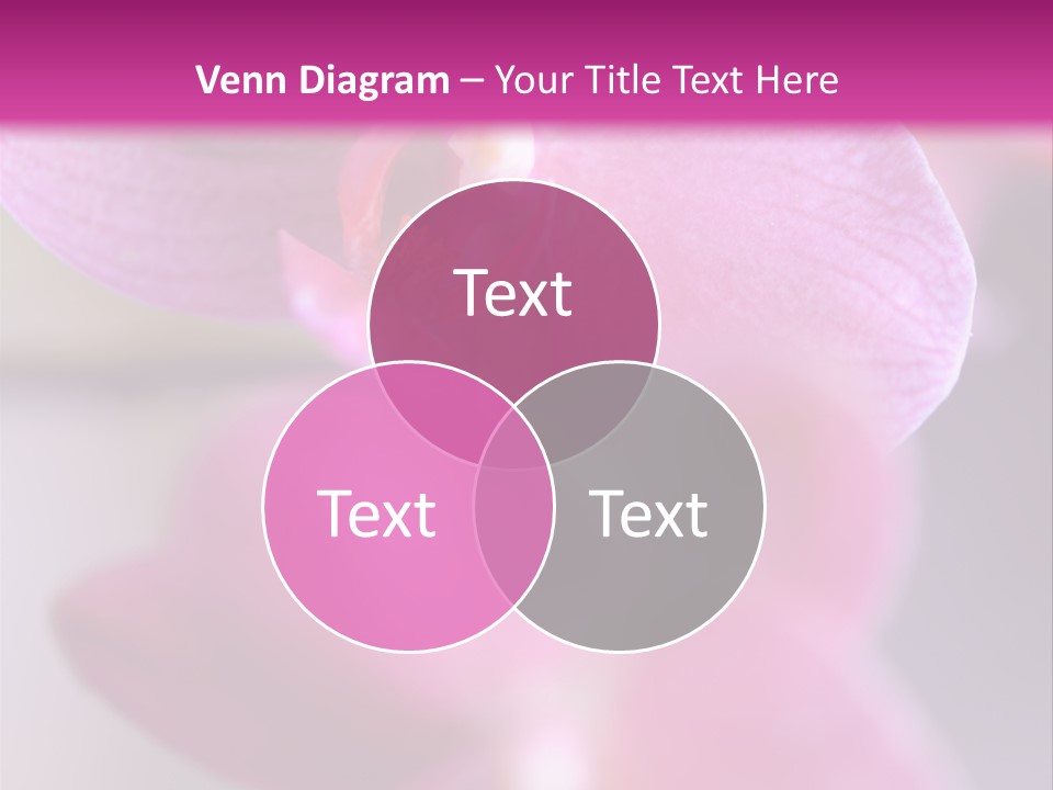 Inflorescence Fragility Ornate PowerPoint Template