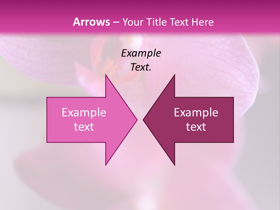 Inflorescence Fragility Ornate PowerPoint Template