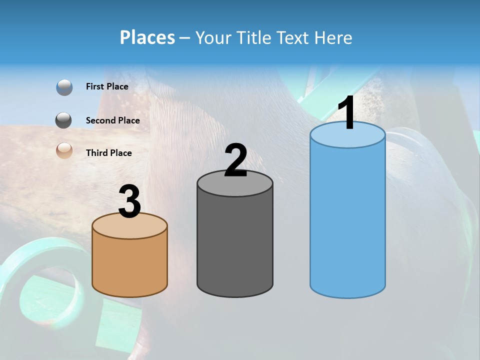 Fur Animal Lion PowerPoint Template