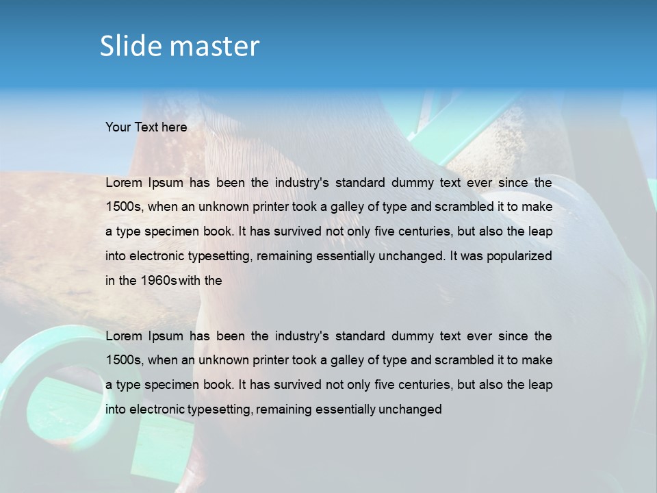 Fur Animal Lion PowerPoint Template