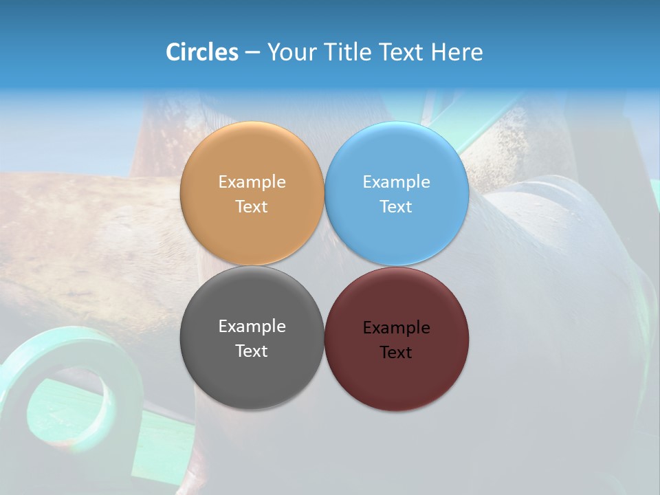 Fur Animal Lion PowerPoint Template