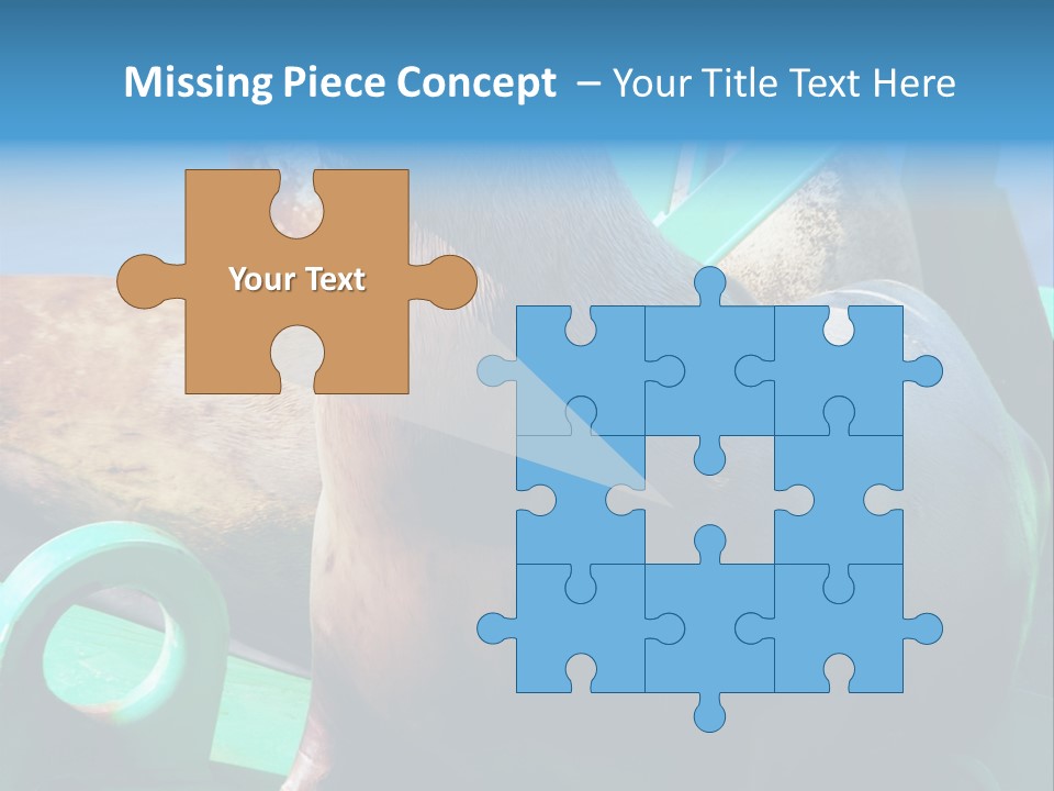 Fur Animal Lion PowerPoint Template