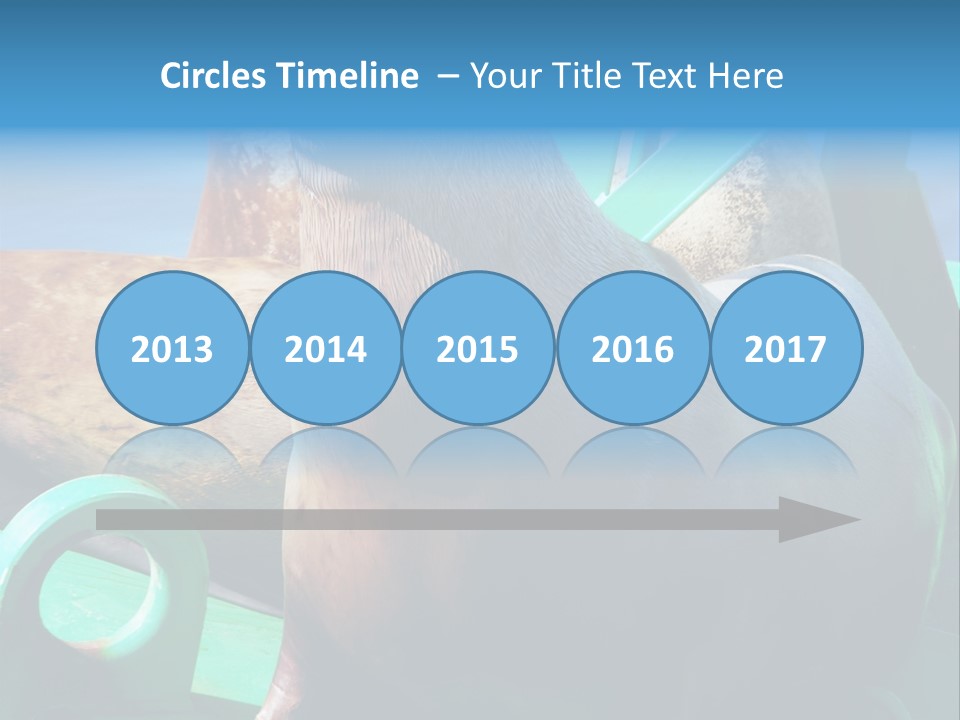 Fur Animal Lion PowerPoint Template