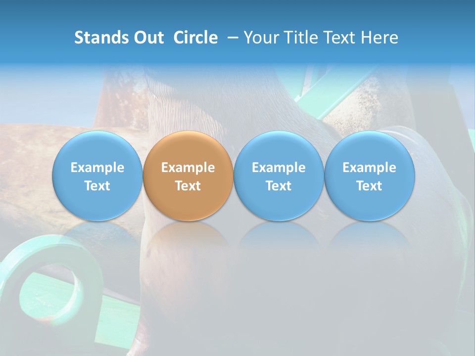 Fur Animal Lion PowerPoint Template