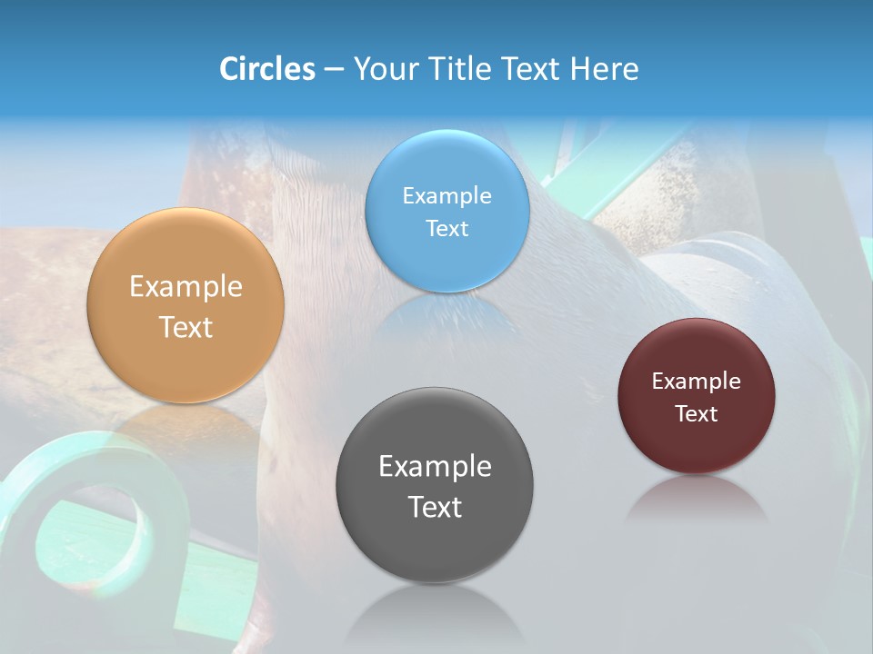 Fur Animal Lion PowerPoint Template