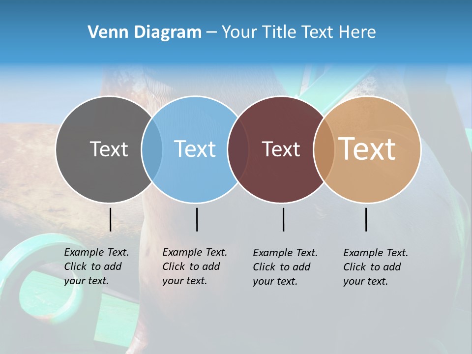 Fur Animal Lion PowerPoint Template