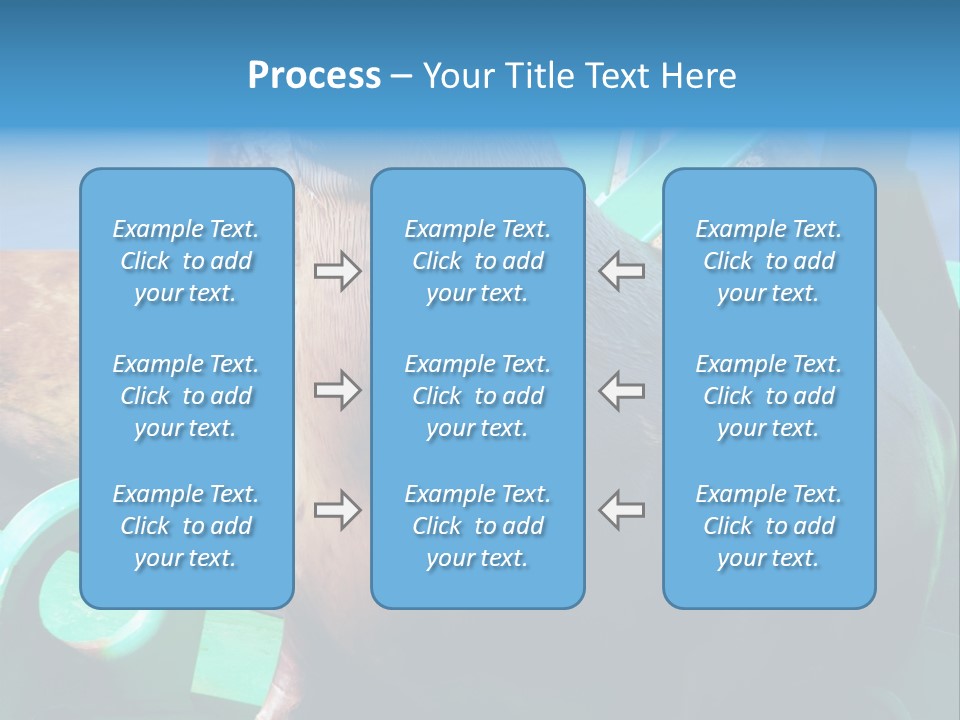 Fur Animal Lion PowerPoint Template