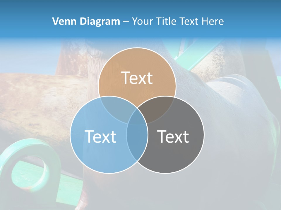 Fur Animal Lion PowerPoint Template